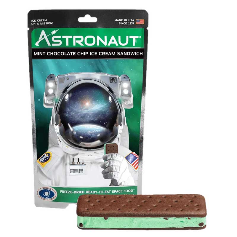 Astronaut Mint Chocolate Chip Ice Cream Sandwich