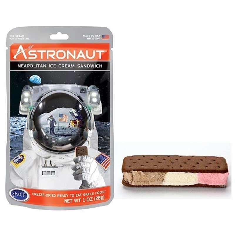 Astronaut Neapolitan Ice Cream Sandwich